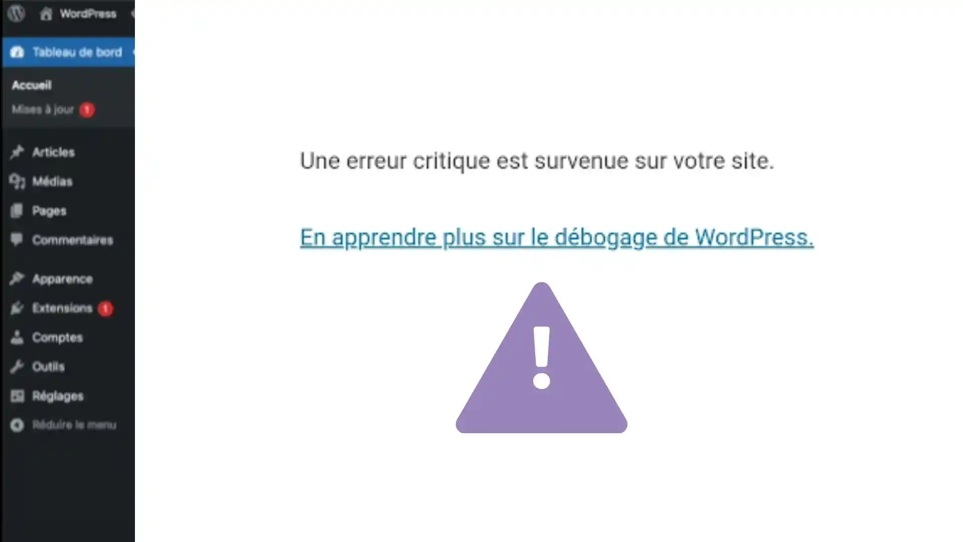 corriger erreur critique wp pour site (1)