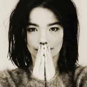 björk, Glossaire des artistes musiciennes