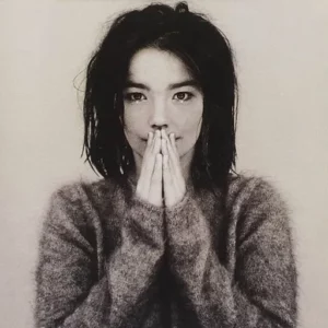 glossaire des artistes, album debut (björk)