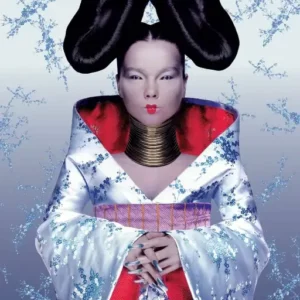 glossaire des artistes, album homogenic (björk)