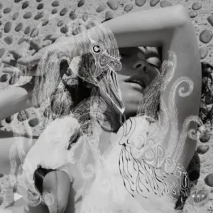 glossaire des artistes, album vespertine (björk)